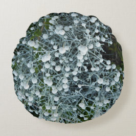 fotografiqqq uniqe pillow ラウンドクッション