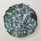 fotografiqqq uniqe pillow ラウンドクッション (裏面)