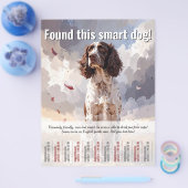 Found a Spaniel Tear Off Flyer チラシ (シングル)