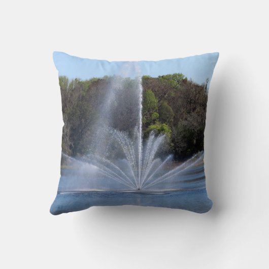 Fountain On A Lake クッション (裏面)