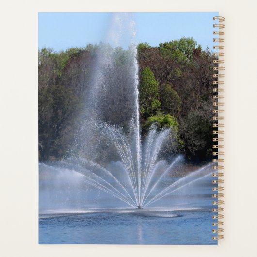 Fountain on a Lake プランナー手帳 (裏面)