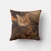 Four cats by Miriam Kilmer クッション (裏面)