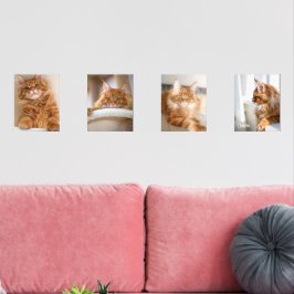 Four Family Cat 8x10写真