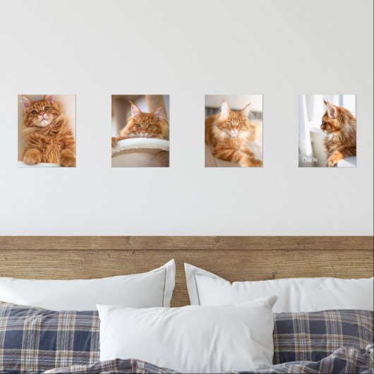 Four Family Cat 8x10写真 (寝室)