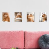 Four Family Cat 8x10写真 (リビング)