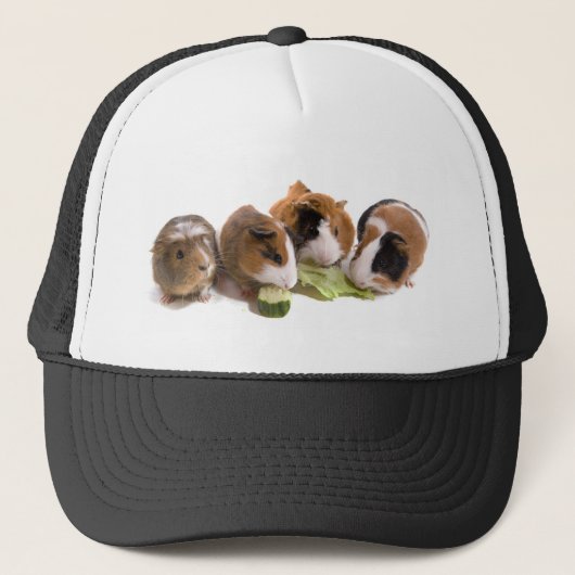 four guinea pigs who eat, キャップ (正面)