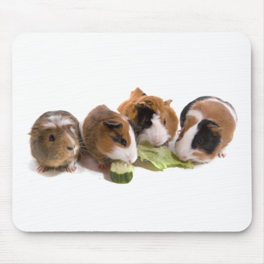 four guinea pigs who eat, マウスパッド (正面)