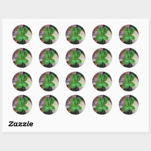 Four leaf clover Sticker ラウンドシール (シート)