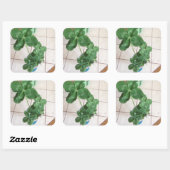 Four leaf clovers スクエアシール (シート)