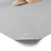 Four little Chow chow puppies ポスター (角)