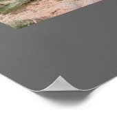 Four Seasons in Western Coloradoフォトポスター ポスター (角)