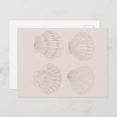 Four Shells ポストカード (正面/裏面)