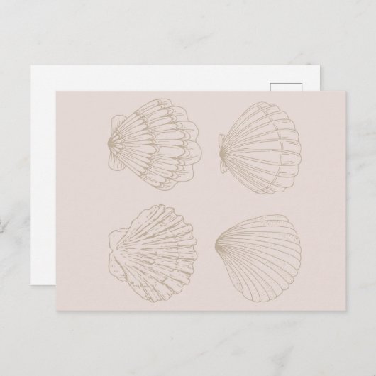 Four Shells ポストカード (正面/裏面)