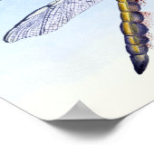 Four-Spotted Chaser Dragonfly Watercolor Poster ポスター (角)