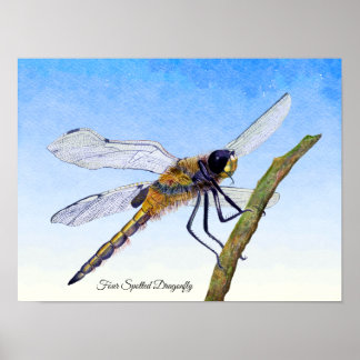 Four-Spotted Chaser Dragonfly Watercolor Poster ポスター