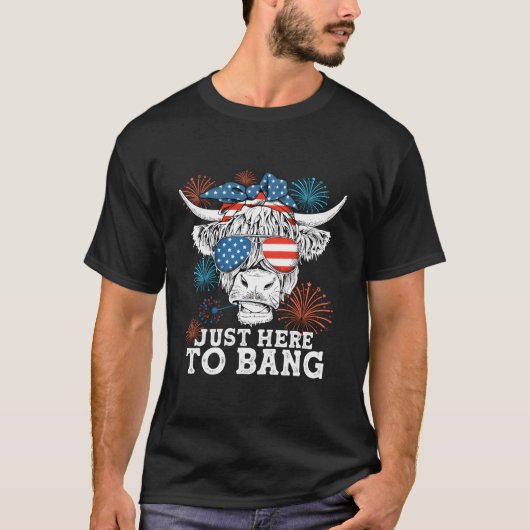 Fourth Of July 4Th Of July I'M Just Here To Bang C Tシャツ (正面)
