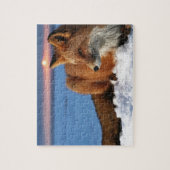 Fox ジグソーパズル (縦)