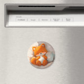 Fox cub anime マグネット (インサイチュ (食洗機))