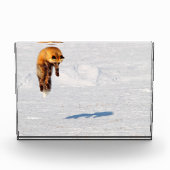 Fox Leap | カナダ ユーコン フォトブロック (正面)