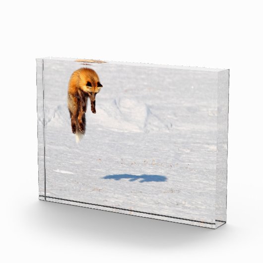 Fox Leap | カナダ ユーコン フォトブロック (右)