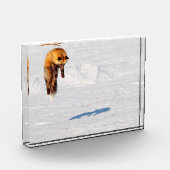 Fox Leap | カナダ ユーコン フォトブロック (左)