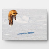 Fox Leap | カナダ ユーコン フォトプラーク (正面)