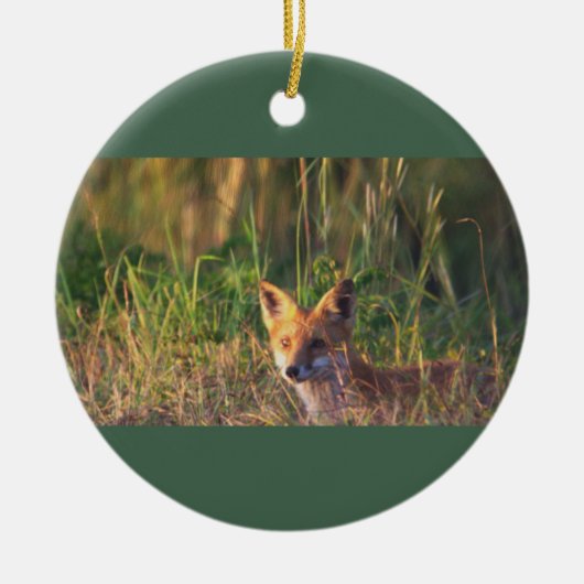 Fox Photo Ornament  セラミックオーナメント (正面)