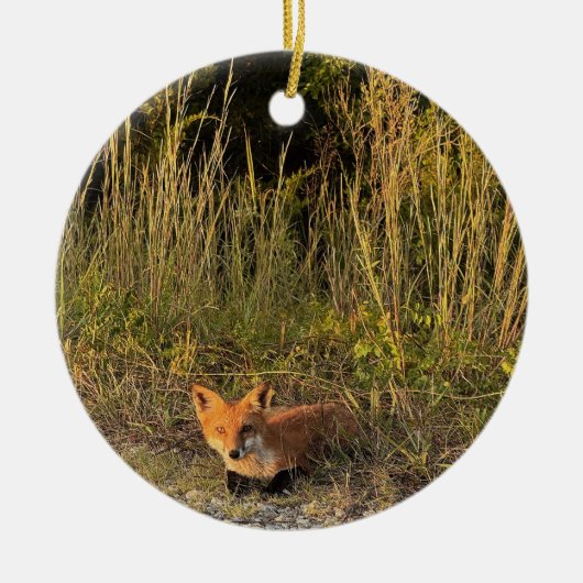 Fox Photo Ornament  セラミックオーナメント (正面)