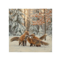 Fox playing in the snow winter scene - 8x8