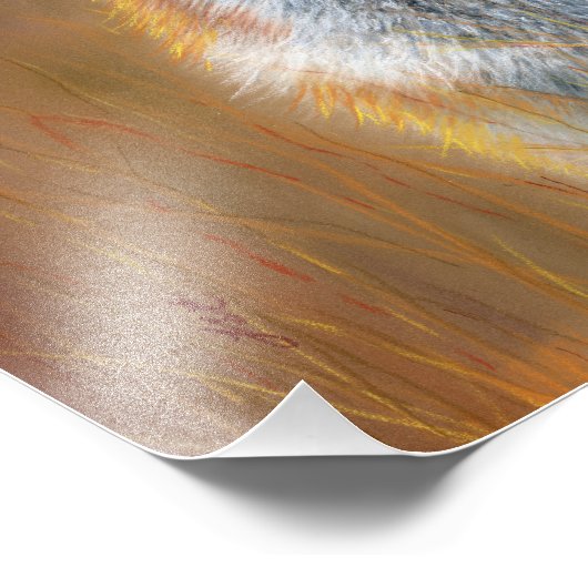 Fox poster フォトプリント            (角)