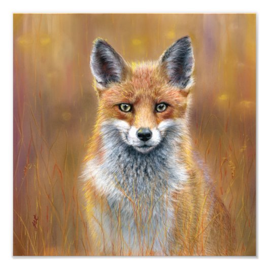 Fox poster フォトプリント            (正面)