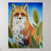 Fox Poster ポスター (正面)