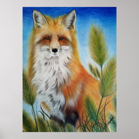 Fox Poster ポスター (正面)