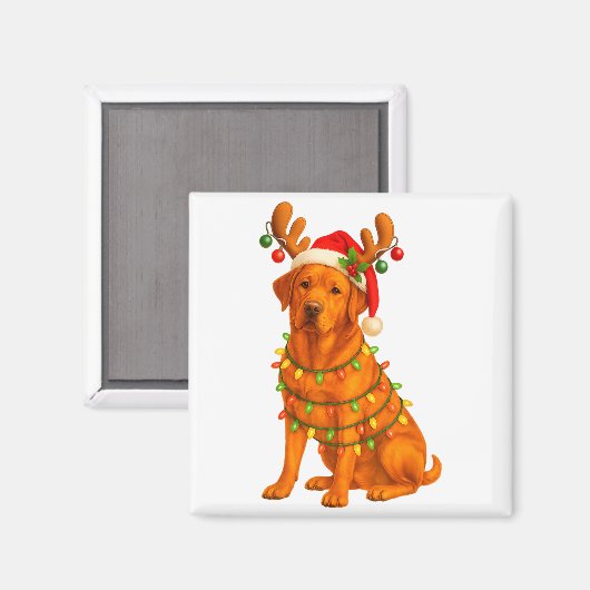 Fox Red Lab Christmas Tree Light Pajama Labrador D マグネット (正面/裏面)