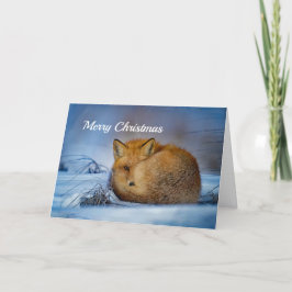 Fox Sleeping Snow Photo シーズンカード