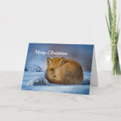 Fox Sleeping Snow Photo シーズンカード (正面)