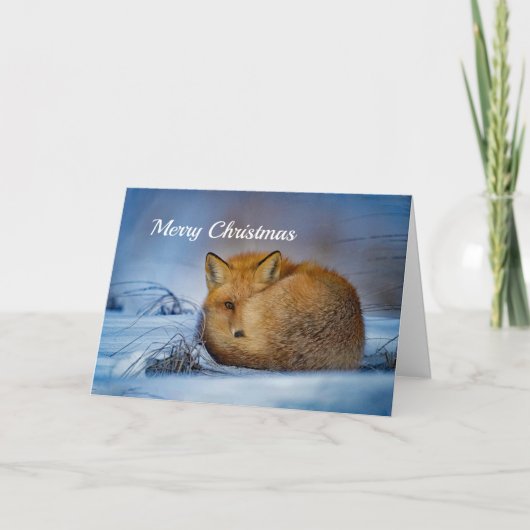 Fox Sleeping Snow Photo シーズンカード (正面)