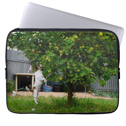 Fox Terrier The Leap, Laptop Sleeve ラップトップスリーブ (正面)