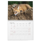 Foxes Are Fun Calendar カレンダー (2月 2026)