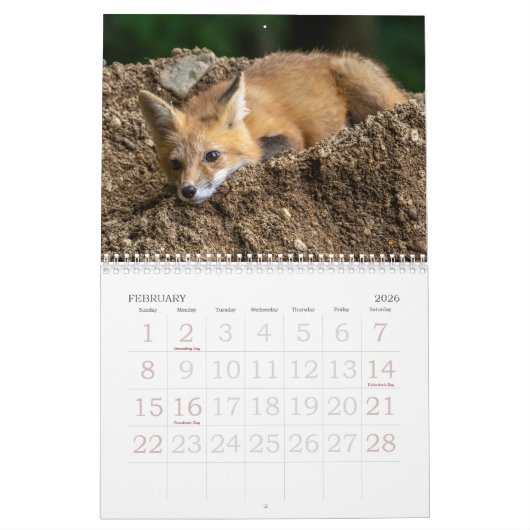 Foxes Are Fun Calendar カレンダー (2月 2026)