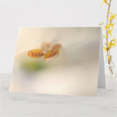 Foxgloveのクローズアップ カード (黄色い花)