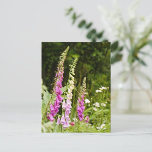 Foxgloveはがき  ポストカード (スタンド正面)