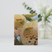 Foxgloveはがき ポストカード (スタンド正面)