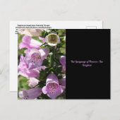 Foxgloveはがき ポストカード (正面/裏面)