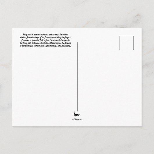Foxgloveはがき ポストカード (裏面)