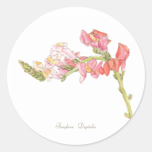 Foxgloveシール ラウンドシール (正面)