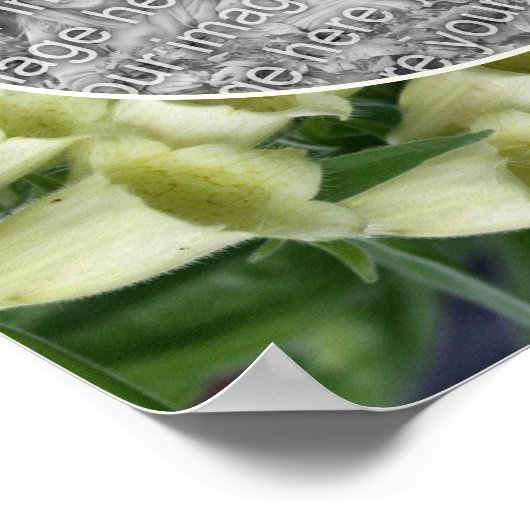 Foxgloveフラワーフレーム自分の写真を作成 ポスター (角)