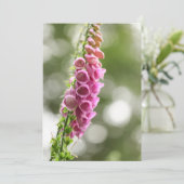 Foxglove自然写真 カード (スタンド正面)