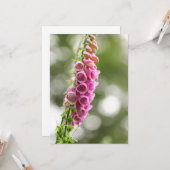 Foxglove自然写真 カード (正面/裏面インサイチュ)