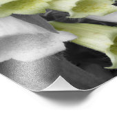 Foxglove花の部分色8 x 10 フォトプリント (角)